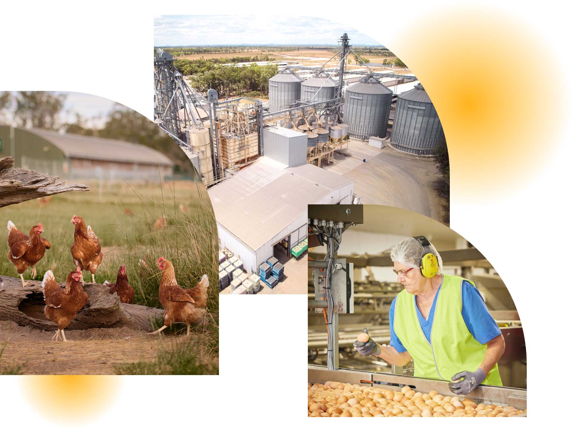 Farm pictures